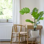 Appartement Gemuetlich L Zentral L Parken L Universitaet L Balkon I Fuer 6
