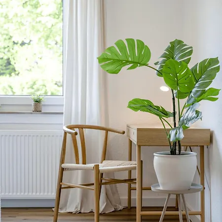 Appartement Gemuetlich L Zentral L Parken L Universitaet L Balkon I Fuer 6