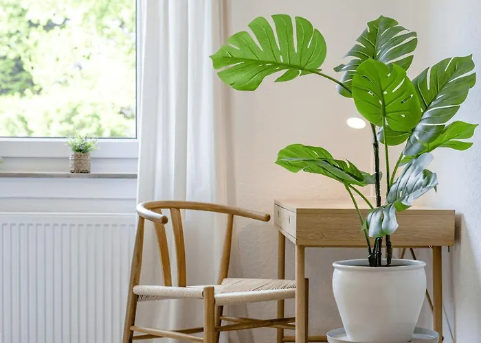 公寓 Gemuetlich L Zentral L Parken L Universitaet L Balkon I Fuer 6